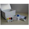 病毒性出血败血症病毒（VHSV）核酸检测试剂盒