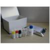 鲤科疱疹病毒2型（CyHV-2）核酸检测试剂盒