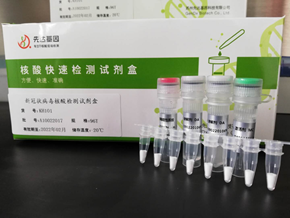 新型冠状病毒核酸检测试剂盒（科研）