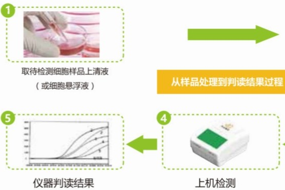 关于细胞培养中的污染