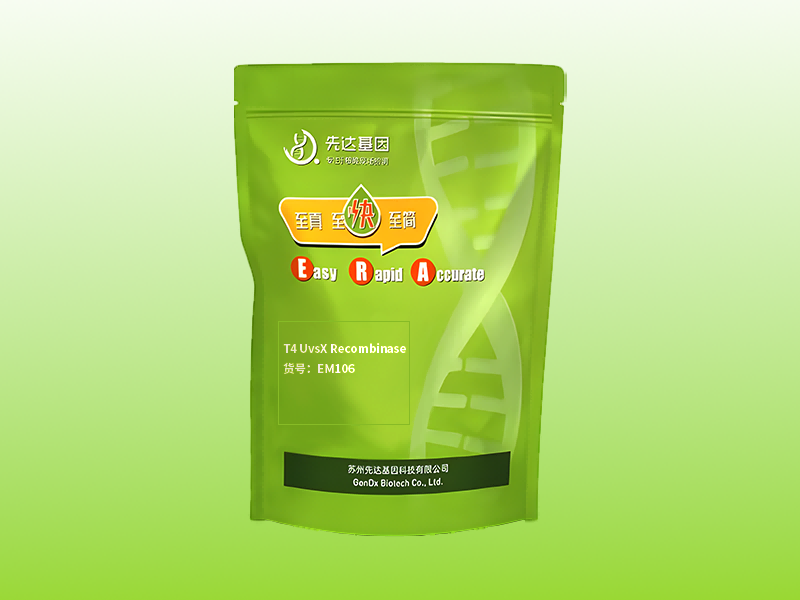 T4 UvsX Recombinase