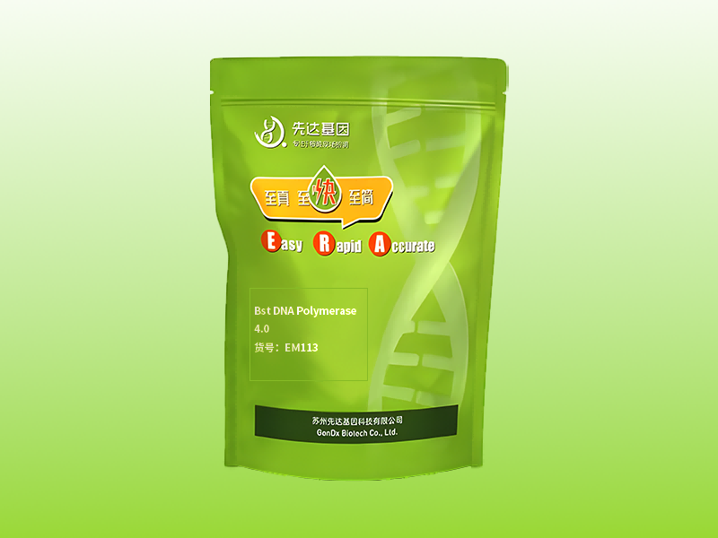 Bst DNA Polymerase 2.0