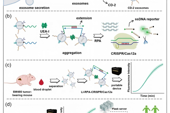 一滴血测肠癌？这项新技术让癌症早筛走进现实